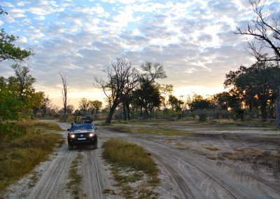 botswana_2015_22